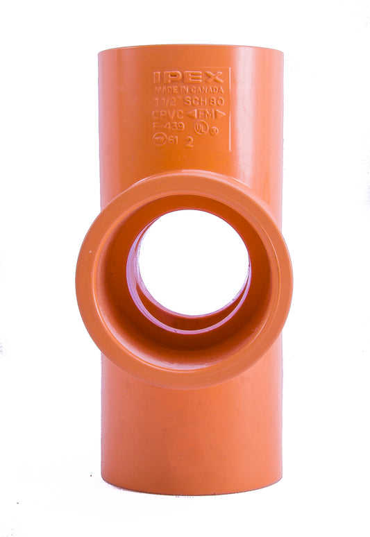 CRUZ LISA BLAZEMASTER 38MM (1 1/2")